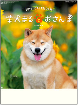 NK-35 柴犬まるとおさんぽ 2019年カレンダー