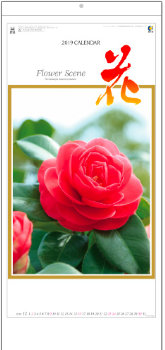 NK-494 花 (Flower Scene) 2019年カレンダー