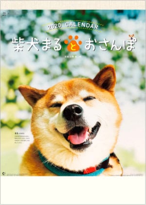 NK-35 柴犬まるとおさんぽ 2020年カレンダー