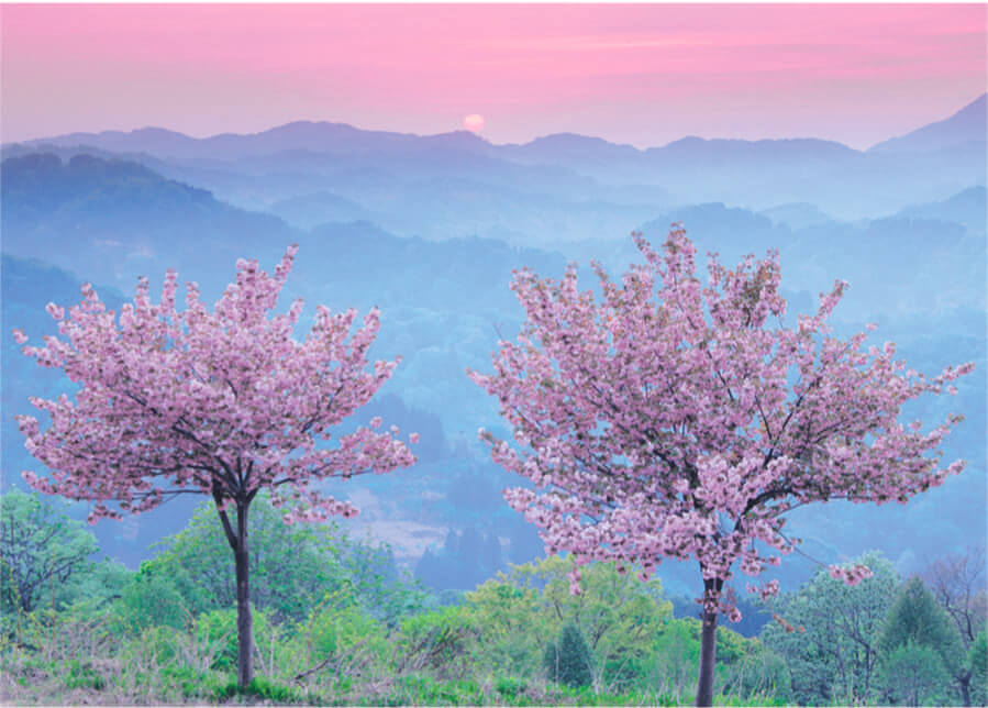 癒し 画像 風景 無料