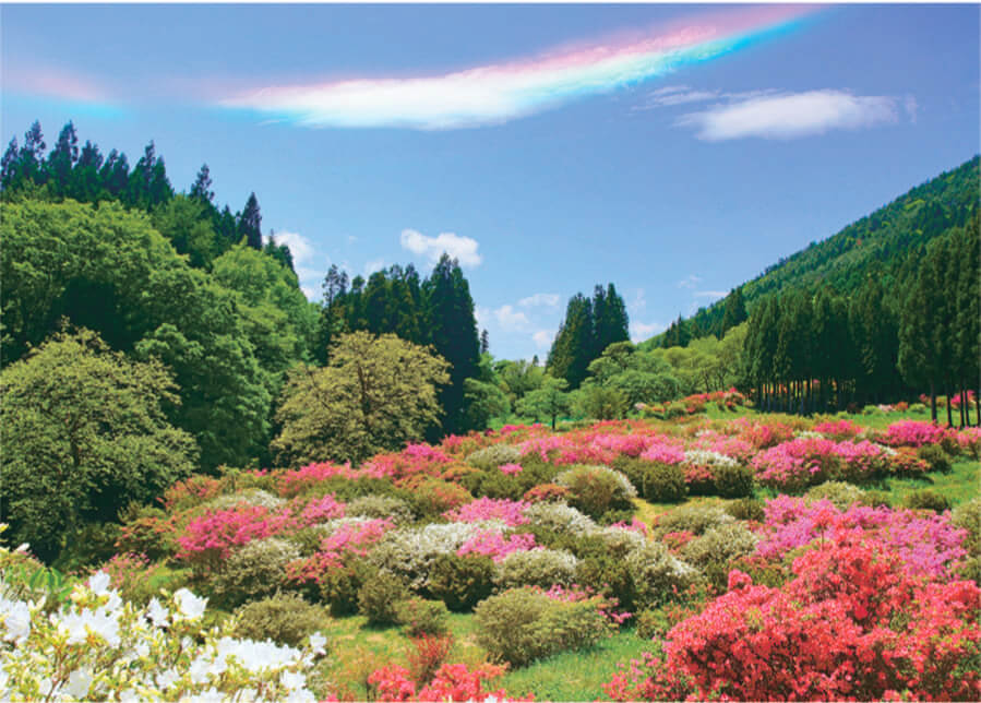 Nk 34 Pure 癒しの日本風景 21年カレンダー 日本の癒やしの自然風景が楽しめるカレンダー カレンダーの通販サイト E カレンダー Com 1部からでも送料無料でお届け