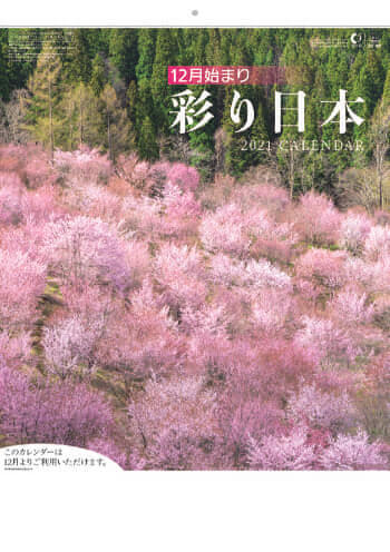 SB-041 彩り日本(12月はじまり) 2021年カレンダー