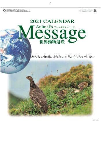 SP-84 世界動物遺産 2021年カレンダー