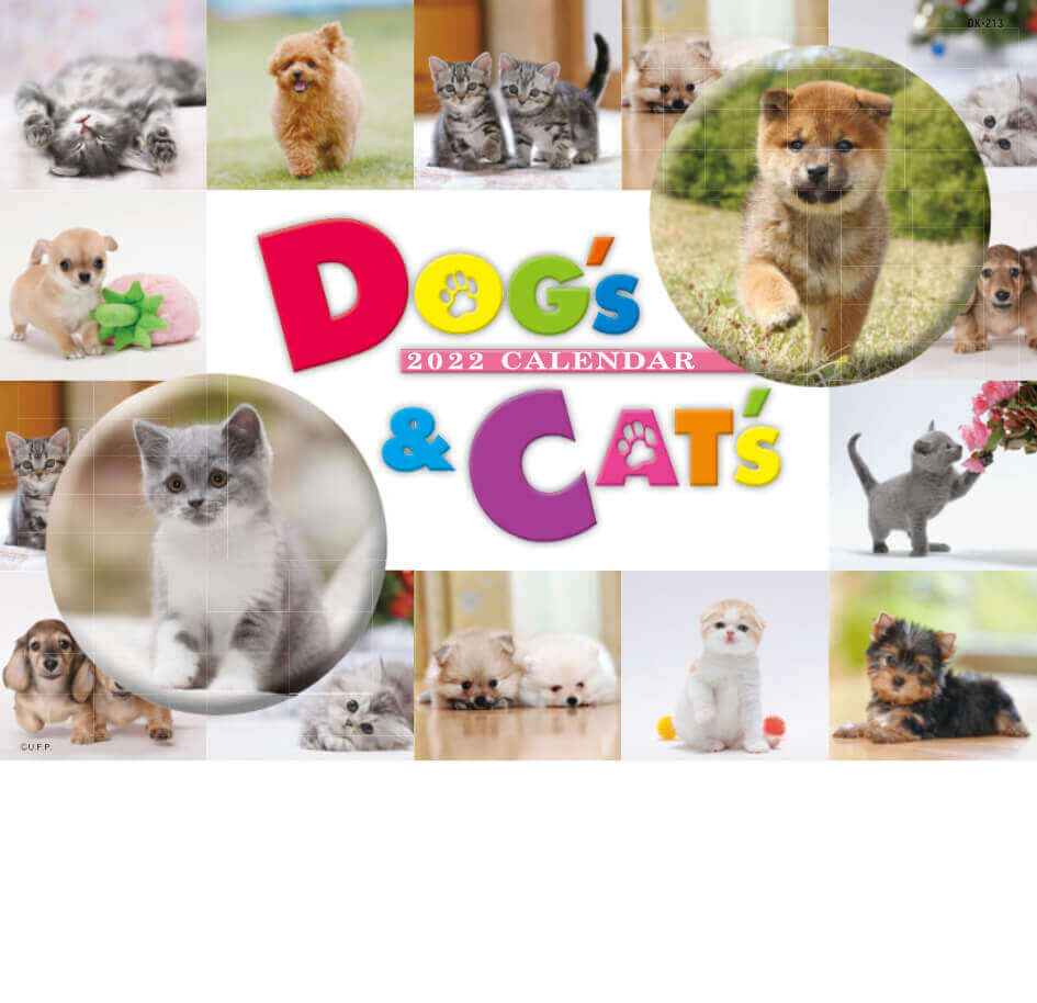 Dk 213 Dog Cat 22年カレンダー Dk 213 Dog Cat 22年カレンダー