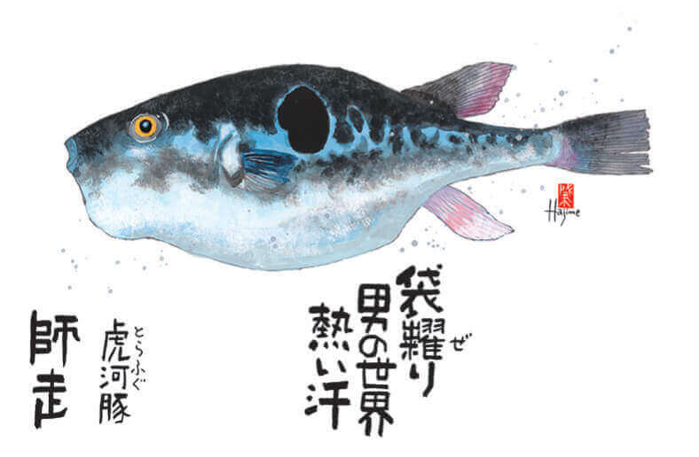 12月 トラフグ 魚彩時記 -岡本肇- 2022年カレンダーの画像