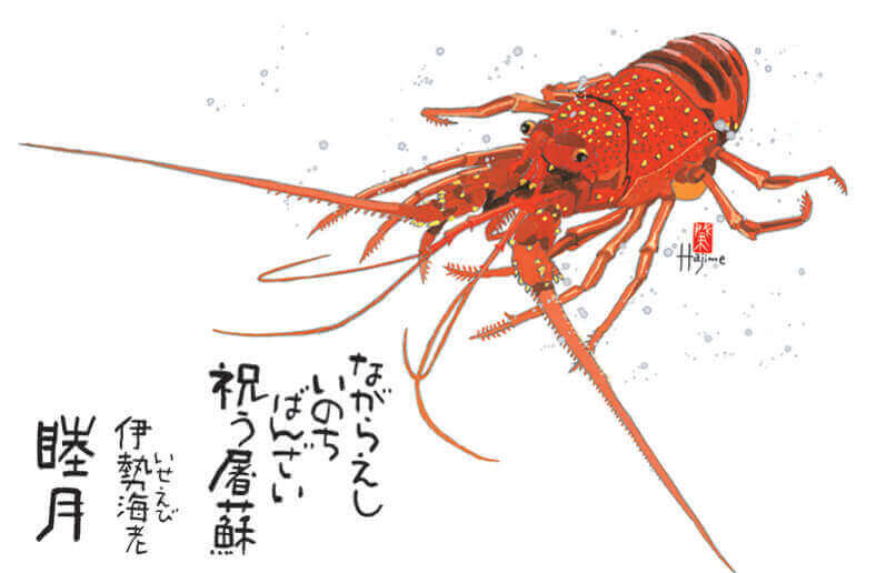 1月 イセエビ 魚彩時記 -岡本肇- 2022年カレンダーの画像