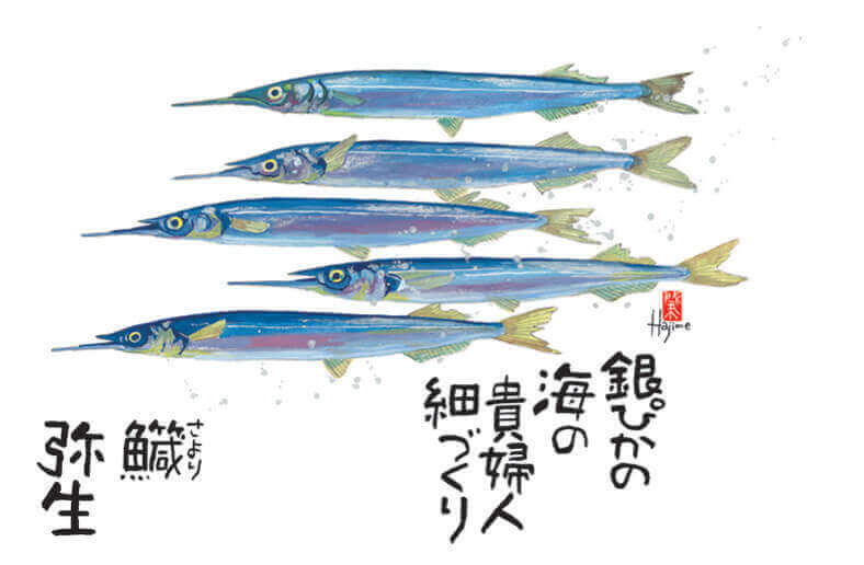 3月 サヨリ 魚彩時記 -岡本肇- 2022年カレンダーの画像