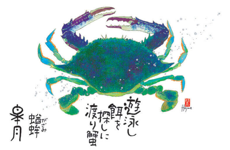 5月 ガザミ 魚彩時記 -岡本肇- 2022年カレンダーの画像