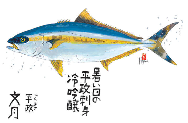 7月 ヒラマサ 魚彩時記 -岡本肇- 2022年カレンダーの画像