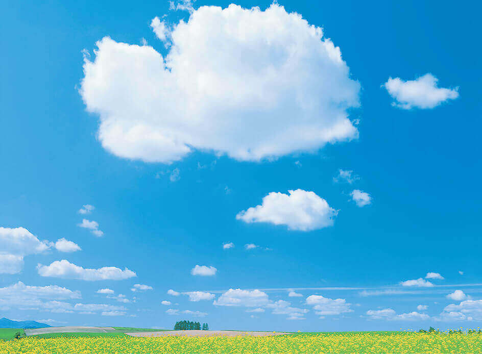 3月 大きなわた雲と菜の花畑 SORA -空- 2022年カレンダーの画像