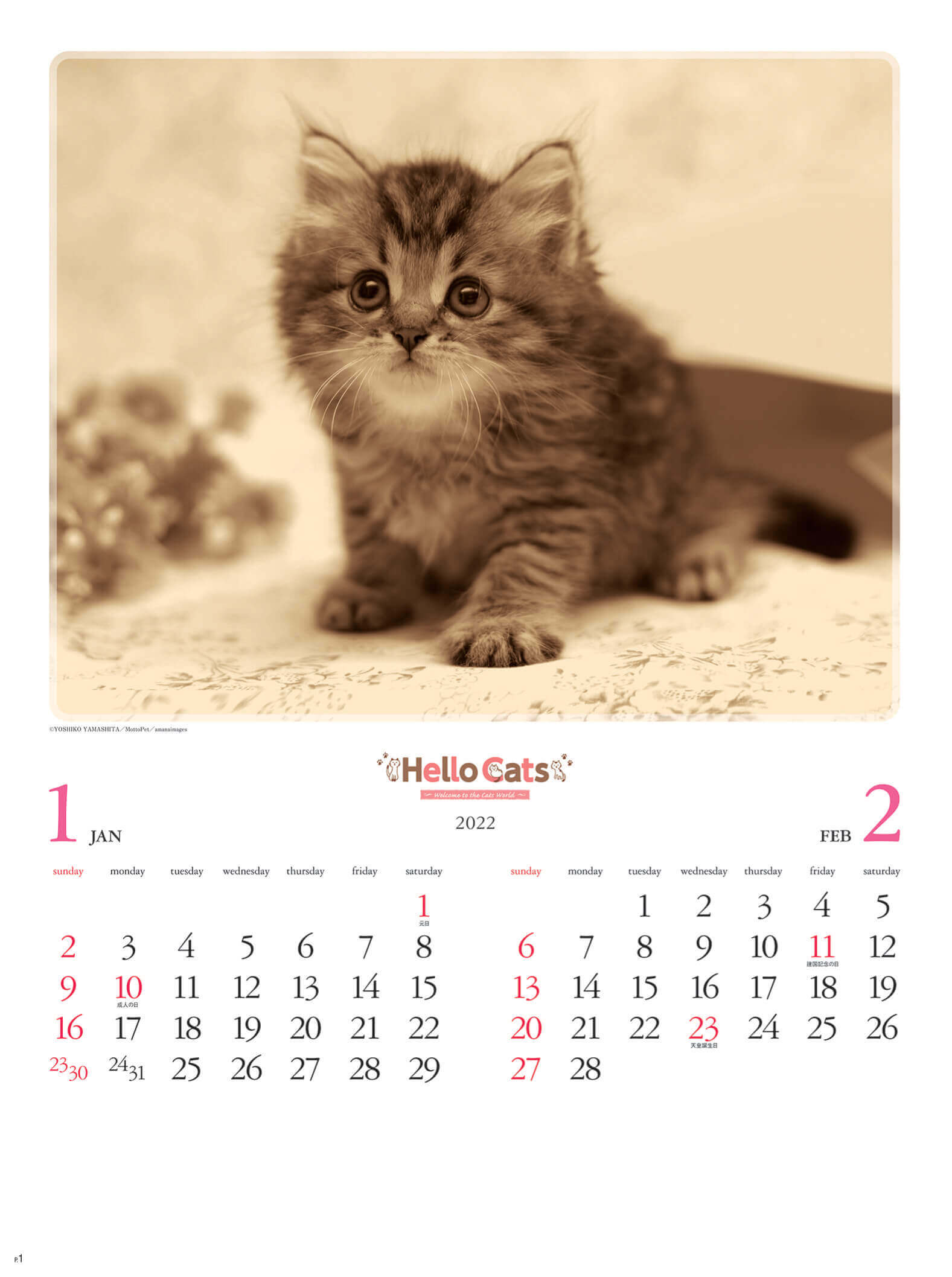 Nk 27 ハローキャッツ 22年カレンダー 子猫の写真が人気のカレンダー