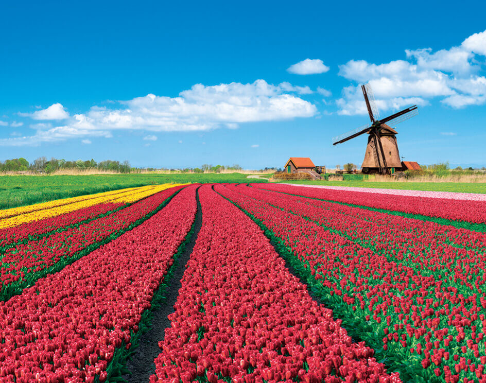 3-4月 オランダ ヨーロッパ 2022年カレンダーの画像