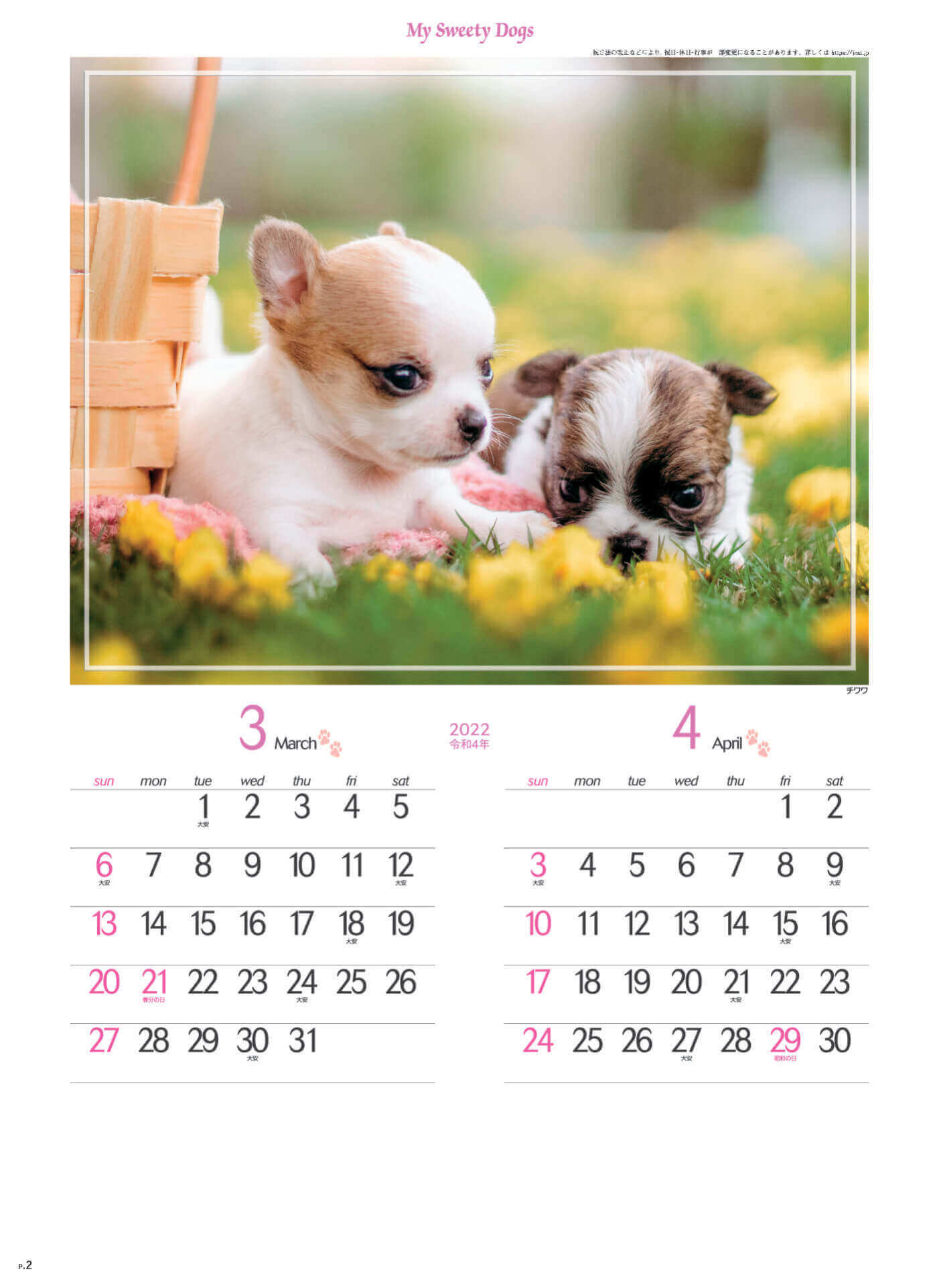 3-4月 チワワ マイスウィーティードッグ 2022年カレンダーの画像
