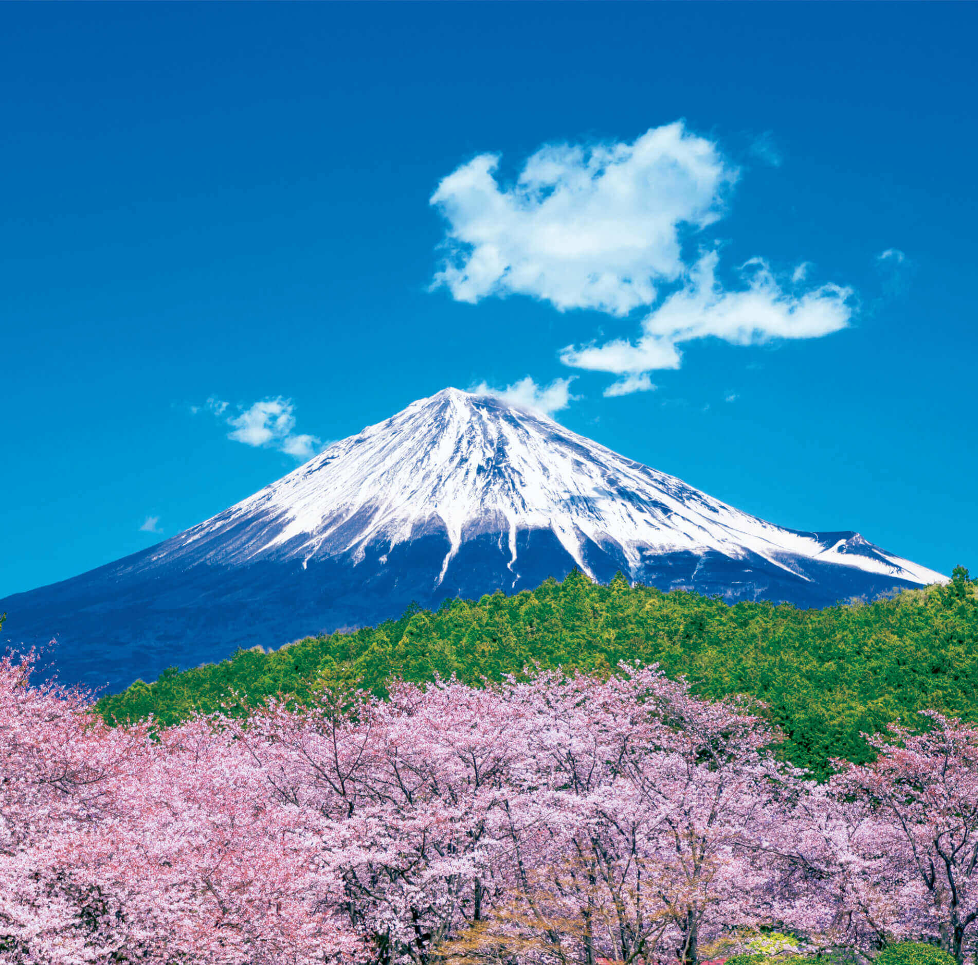 3-4月 岩本山より(静岡) 富士山(フィルムカレンダー) 2022年カレンダーの画像
