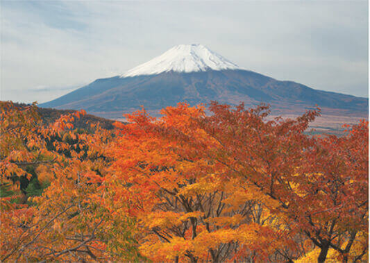 紅葉と富士山(山梨) 富士十二景 2022年カレンダーの画像