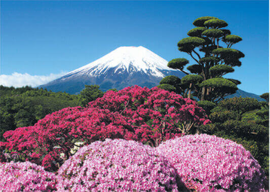 5月 忍野村よりつつじ庭園と富士山(山梨) 富士十二景 2022年カレンダーの画像