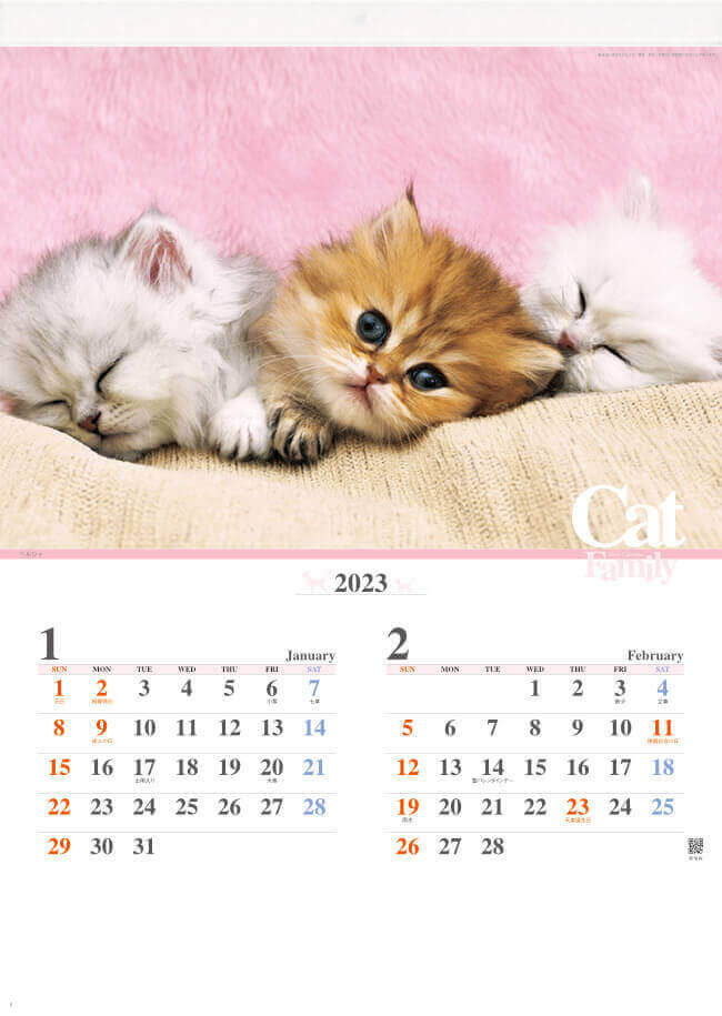 1/2月 ペルシャ キャッツファミリー 2023年カレンダーの画像