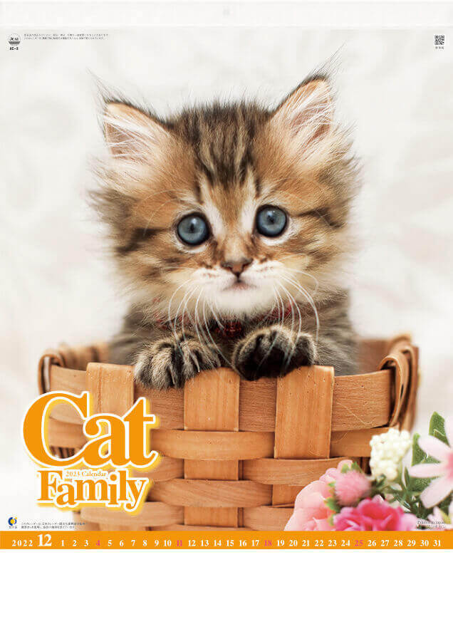 Ac 3 キャッツファミリー 23年カレンダー 子猫の写真が可愛いカレンダー