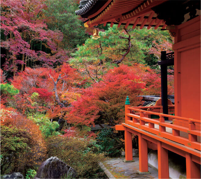 11月 毘沙門堂(京都) 日本の美 2023年カレンダーの画像