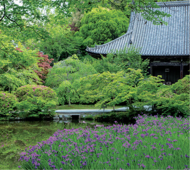 5月 長岳寺(京都) 日本の美 2023年カレンダーの画像