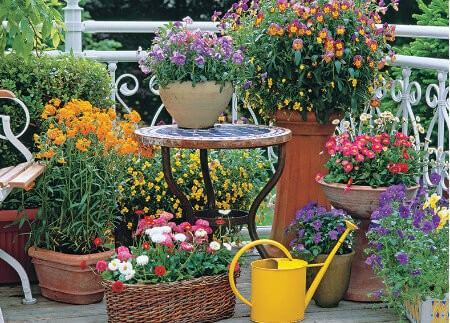 Nk 101 ガーデニングヒント 23年カレンダー 美しいガーデニング写真