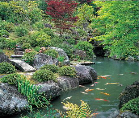 5/6月  三室戸寺(京都) 四季の庭 2023年カレンダーの画像