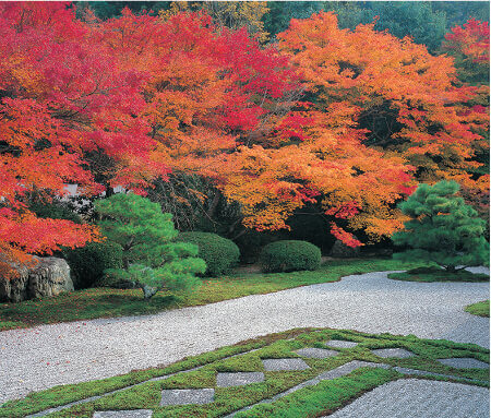 9/10月  天授庵(京都) 四季の庭 2023年カレンダーの画像