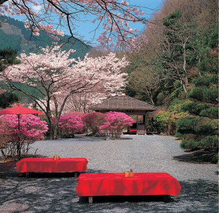 3/4月 白龍園(京都) 庭(フィルムカレンダー) 2023年カレンダーの画像