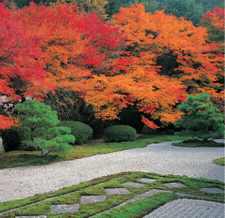 9/10月 天授庵(京都) 庭(フィルムカレンダー) 2023年カレンダーの画像