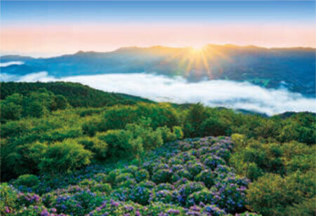 6月 美の山公園(埼玉) 輝く太陽 2023年カレンダーの画像