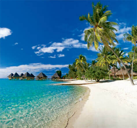 1/2月 ボラボラ島(フランス領ポリネシア) 世界のリゾート(フィルムカレンダー） 2023年カレンダーの画像