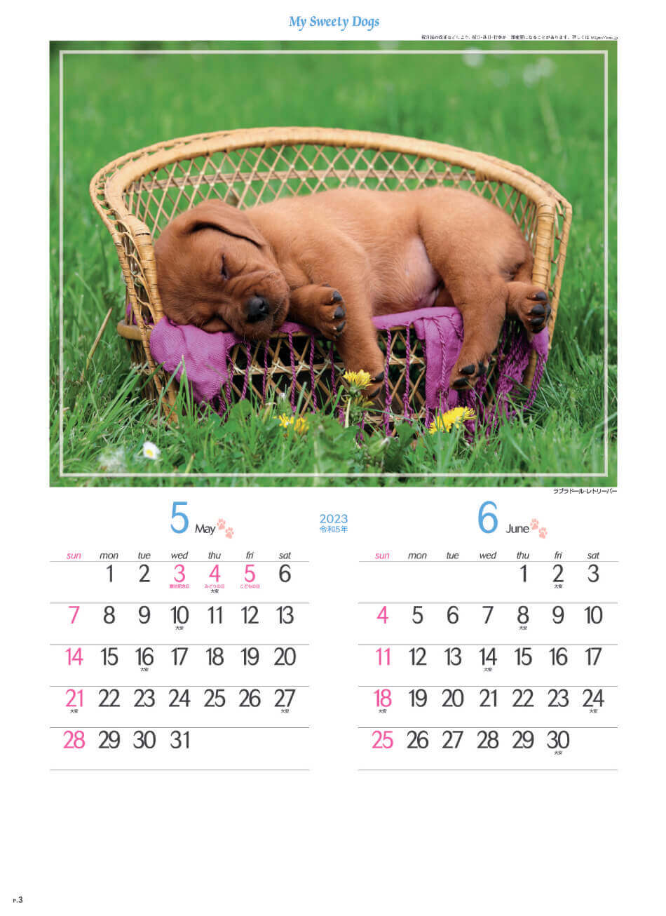 5/6月 ラブラドール・レトリーバー マイスウィーティードッグ 2023年カレンダーの画像
