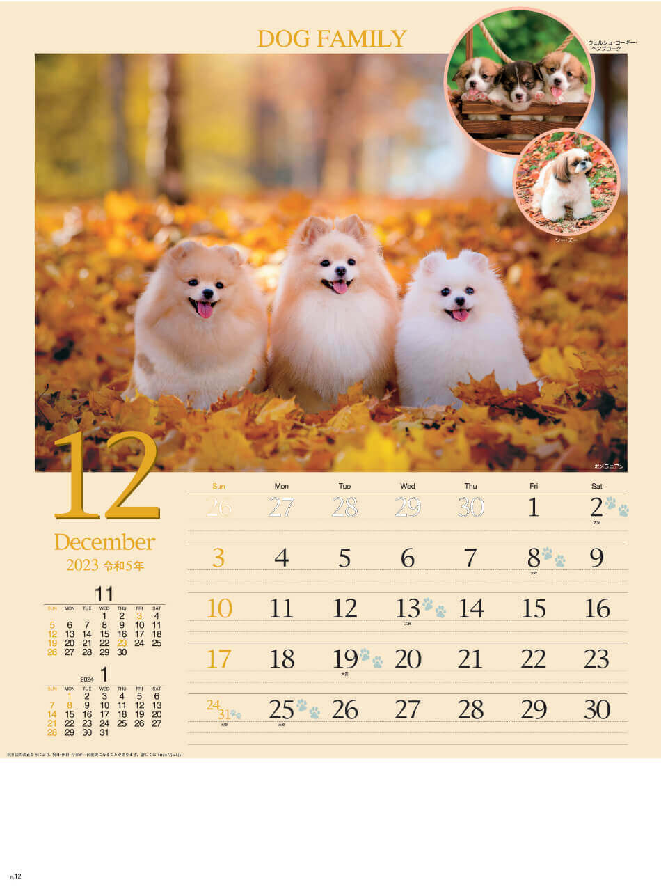 12月 ポメラニアン   ドッグファミリー 2023年カレンダーの画像
