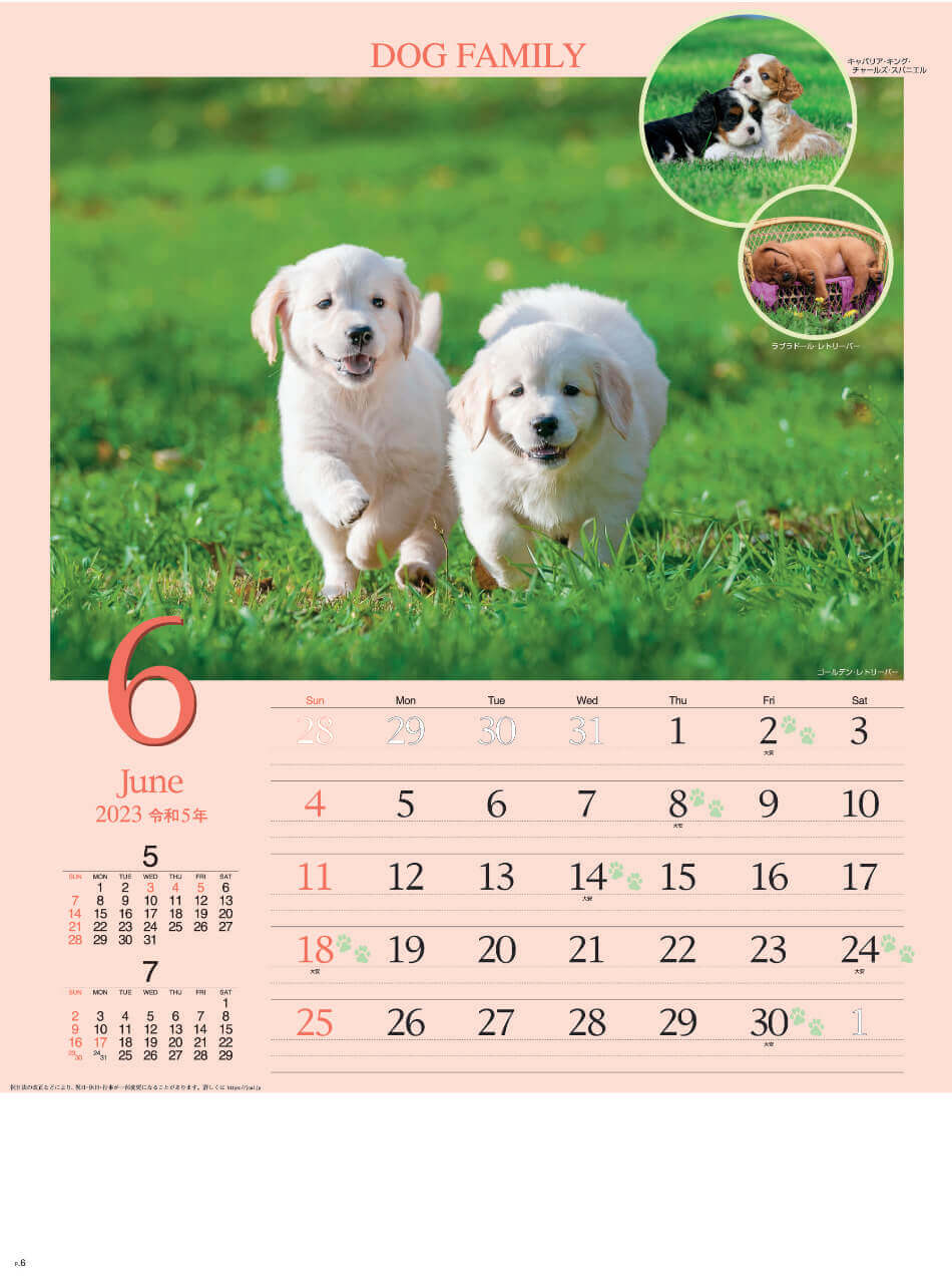 6月 ゴールデン・レトリーバー   ドッグファミリー 2023年カレンダーの画像