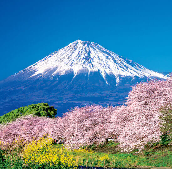 3/4月 潤井川龍巖淵より(静岡) 富士山(フィルムカレンダー） 2023年カレンダーの画像