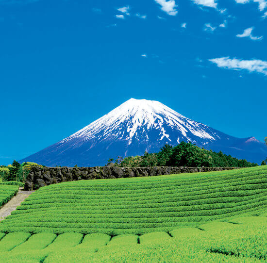 5/6月 富士市より(静岡) 富士山(フィルムカレンダー） 2023年カレンダーの画像