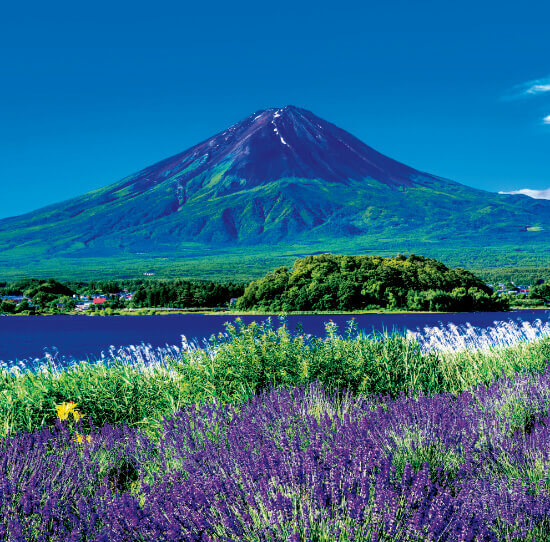 7/8月 大石公園より(山梨) 富士山(フィルムカレンダー） 2023年カレンダーの画像