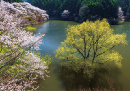3月 錫杖湖(三重県) 天地自然・森田敏隆写真集 2023年カレンダーの画像
