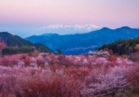 4月 飯豊連峰(福島県) 天地自然・森田敏隆写真集 2023年カレンダーの画像