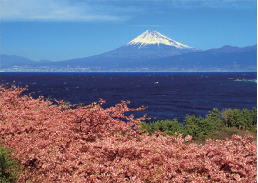 3月 河津桜と富士山(静岡県) 富士十二景 2023年カレンダーの画像