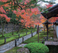 10月 一休寺(京都) 庭の詩情 2023年カレンダーの画像