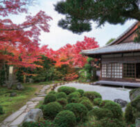 11月 金福寺(京都) 庭の詩情 2023年カレンダーの画像