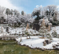 12月 金沢城」(石川) 庭の詩情 2023年カレンダーの画像