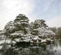 1月 兼六園(石川) 庭の詩情 2023年カレンダーの画像