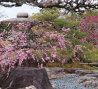 3月 光明山聖法院(京都) 庭の詩情 2023年カレンダーの画像