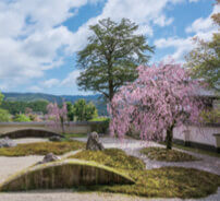 4月 実相院(京都) 庭の詩情 2023年カレンダーの画像