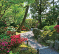 5月 城南宮(京都) 庭の詩情 2023年カレンダーの画像