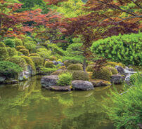 6月 三室戸寺(京都) 庭の詩情 2023年カレンダーの画像