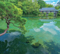 8月 楽寿園(静岡) 庭の詩情 2023年カレンダーの画像