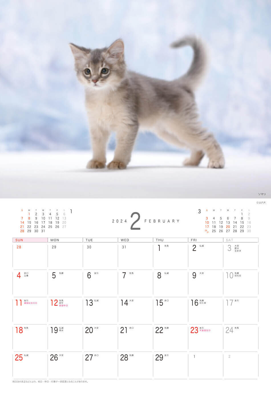 DK213 Dog&Cat 2024年カレンダー 犬も猫も大好きな方におすすめ！